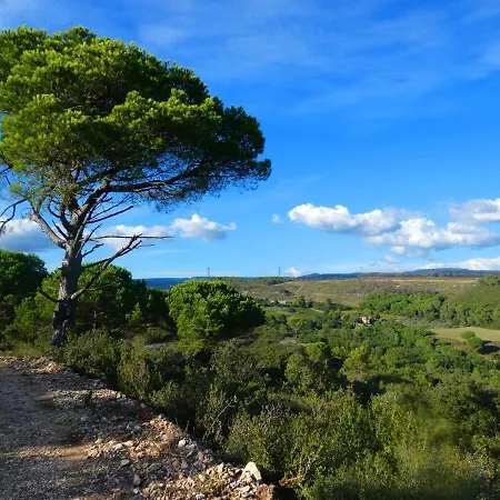 Apartman Bijou Surdespine Air Conditioned 100m To Historic 4 Cathar Chateaux Access To A Very Pretty Riverside Garden!! *