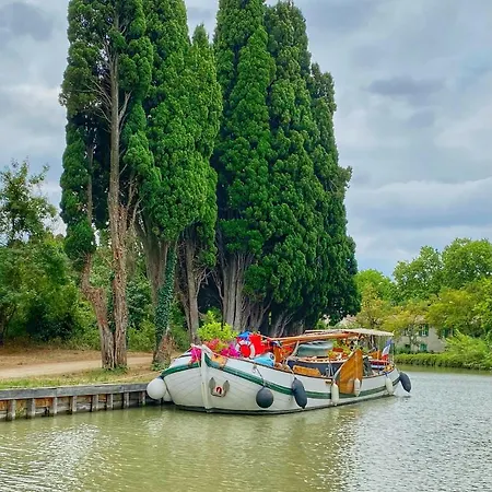 Bijou Surdespine Air Conditioned 100m To Historic 4 Cathar Châteaux Access To A Very Pretty Riverside Garden!! * Lastours